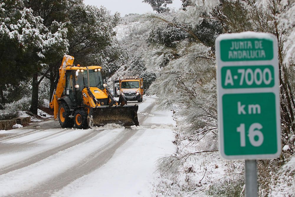 Las primeras nevadas llegan al Puerto del León, en los Montes de Málaga, que se sitúa a 900 metros de altura