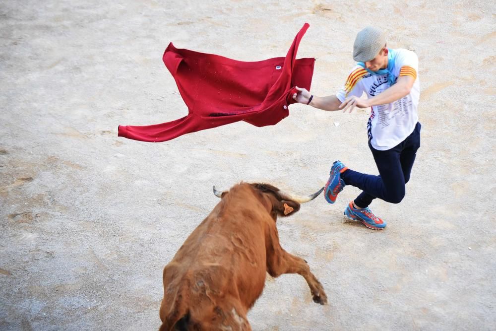 Imatges de la jornada de diumenge del corre de bou de Cardona 2017