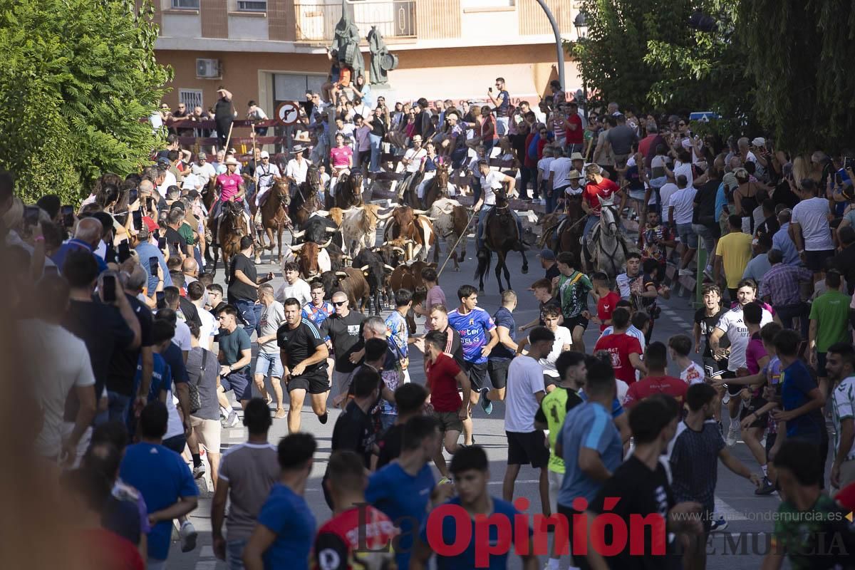 Quinto encierro de las Fiestas de Moratalla