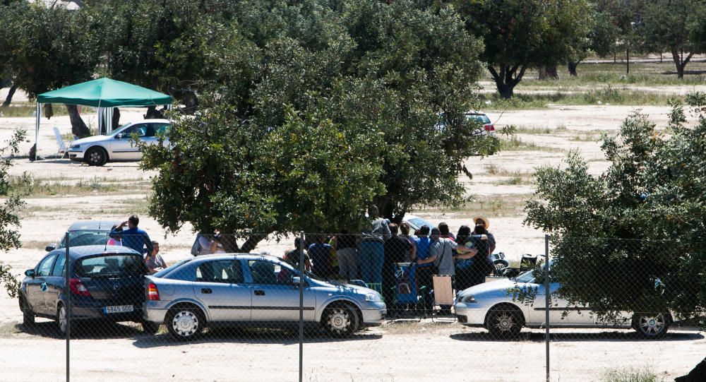 Miles de personas en el domingo de Santa Faz