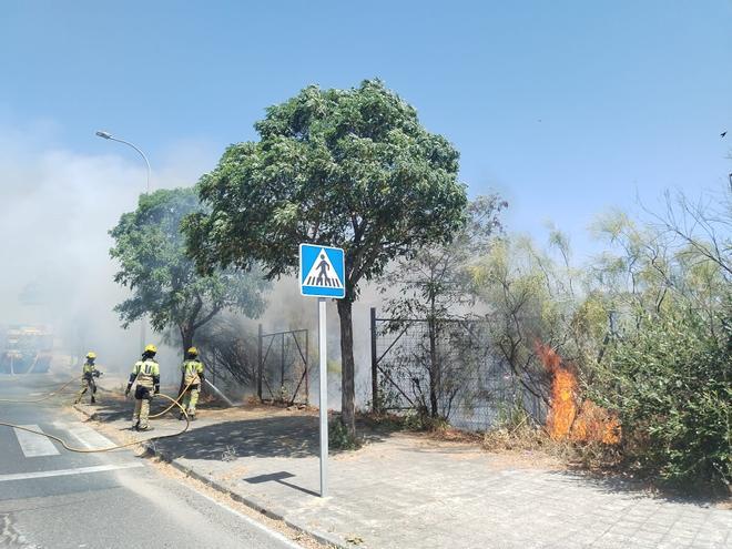 Fotogalería | Imágenes del fuego en La Mazuela de Plasencia