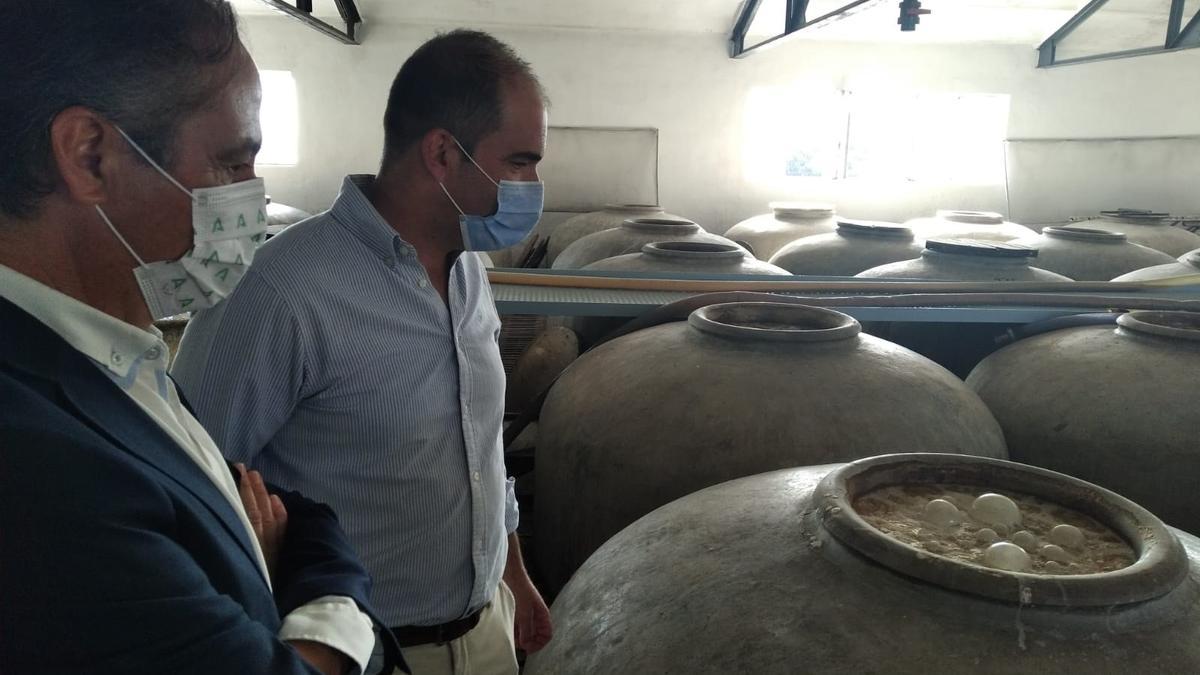 El delegado territorial de Turismo de la Junta en Córdoba, Ángel Pimentel (izda.), en su visita al Consejo Regulador de Denominación de Origen Montilla-Moriles.