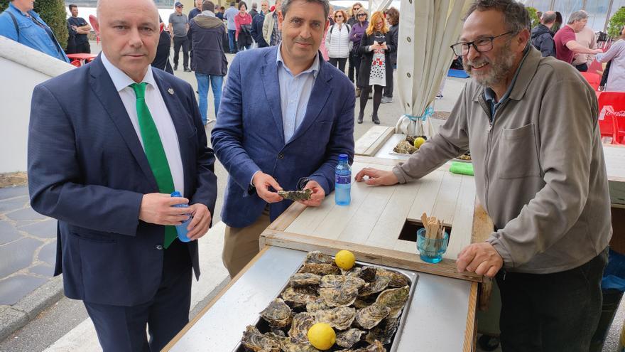 Castropol abre la novena edición del festival gastronómico de la ostra: &quot;Es un producto de máxima calidad&quot;