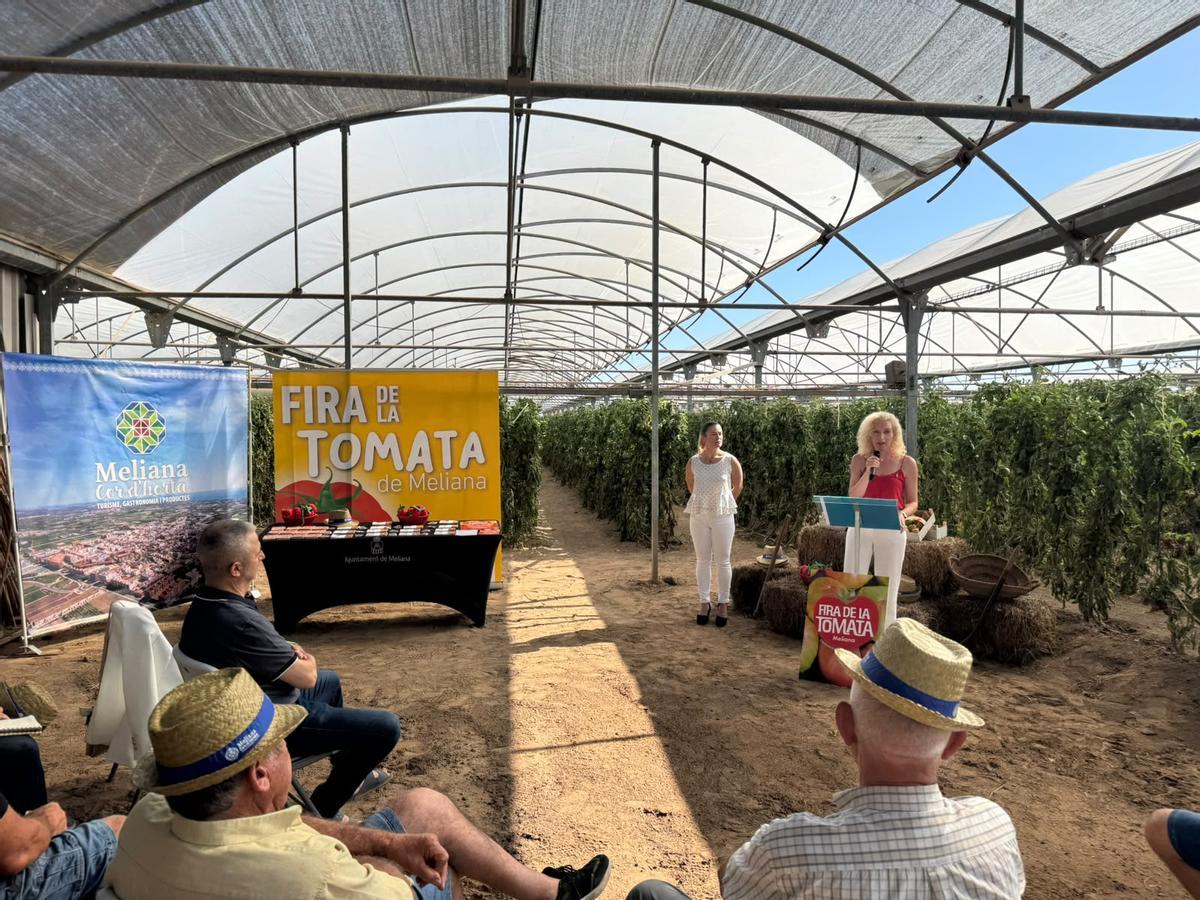 Trini Montañana, alcaldesa de Meliana, presenta la quinta edición de la Fira de la Tomata. mn