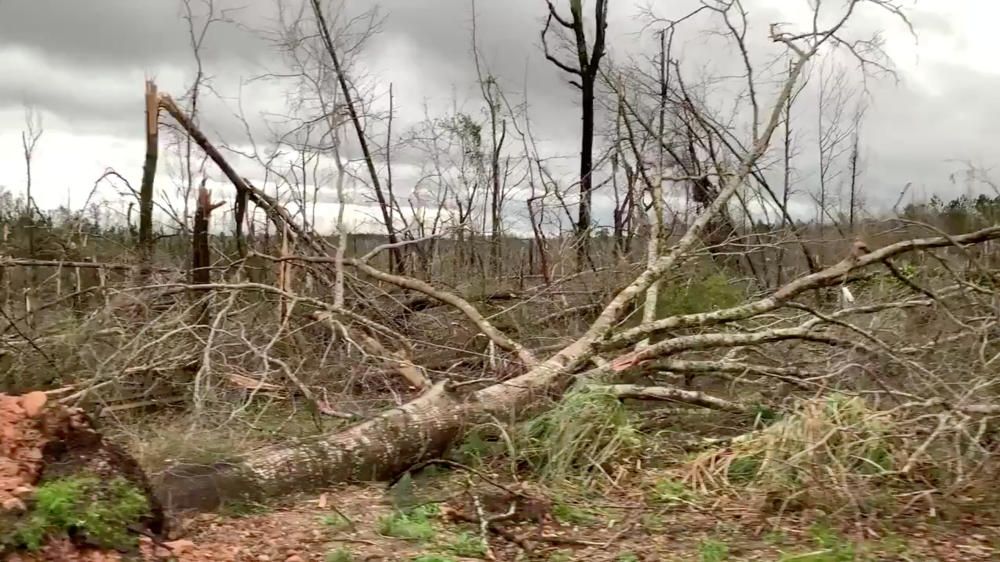 Un tornado causa almenys 23 morts a Alabama