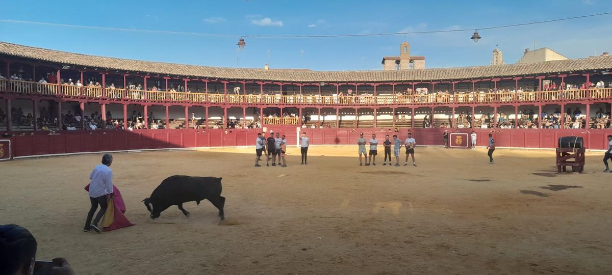 GALERÍA | La Fuente de Vino en la plaza de toros de Toro, en imágenes