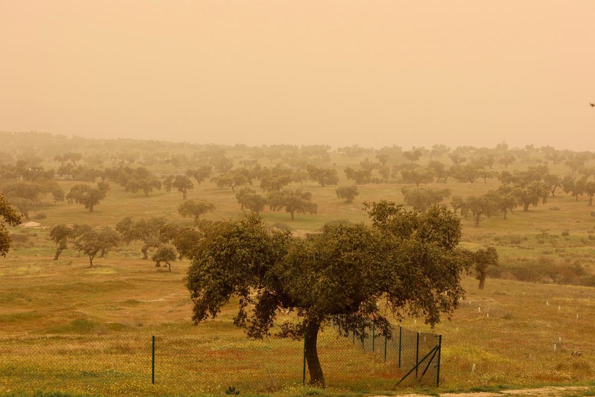 Vista de la finca El Toril, en las cercanías de Mérida, que este martes ha amanecido cubierta por el polvo en suspensión procedente del desierto del Sáhara.