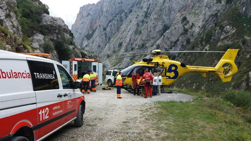 Herido un varón tras sufrir una caída al río en Cabrales