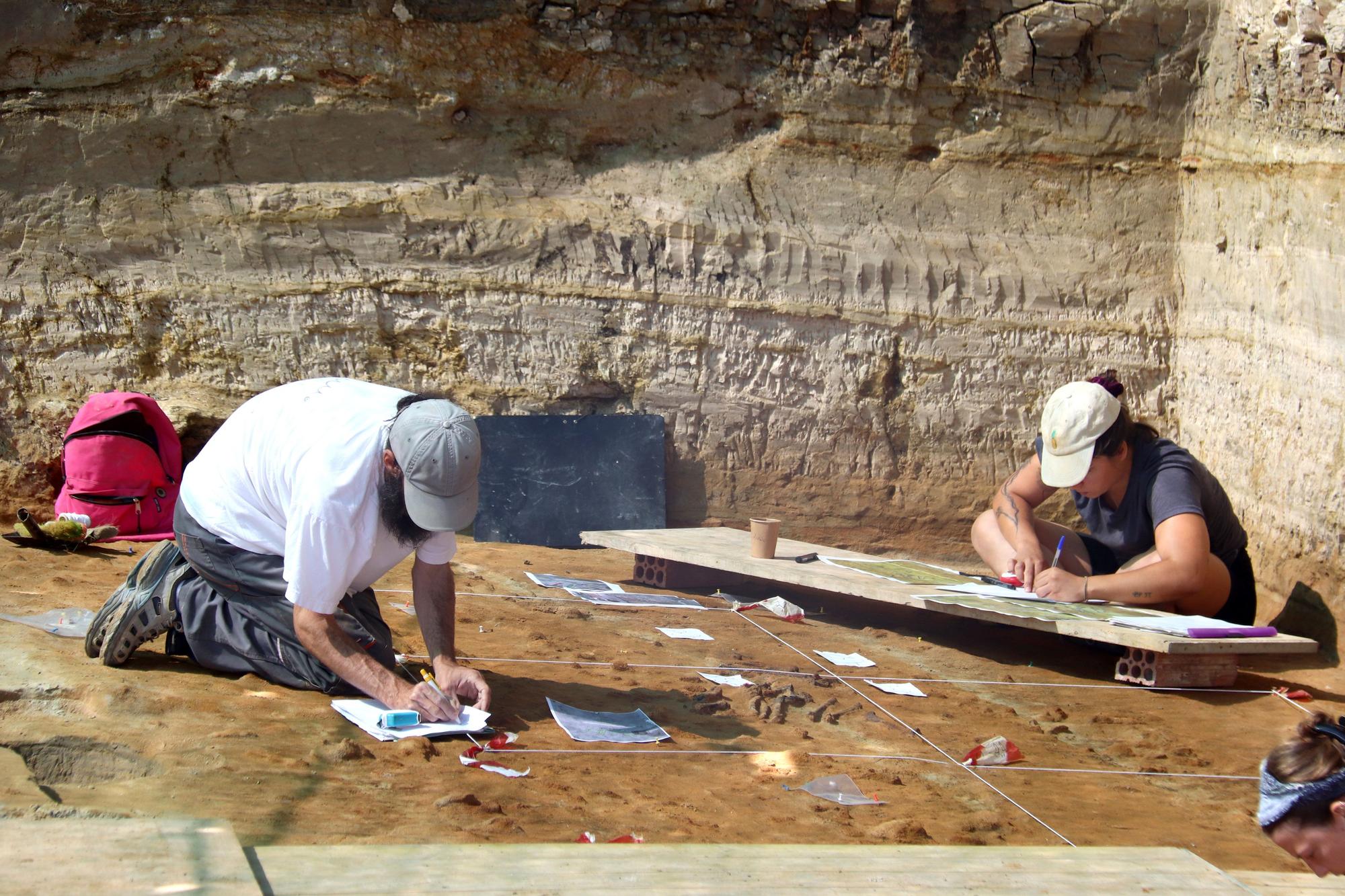 Troben un animal aquàtic sense identificar de més de 3 milions d'anys en una excavació a Girona