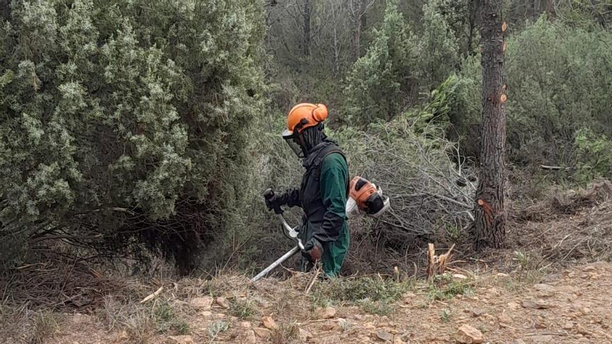 Segorbe abre un cortafuegos en la  pista de Peñas Blancas