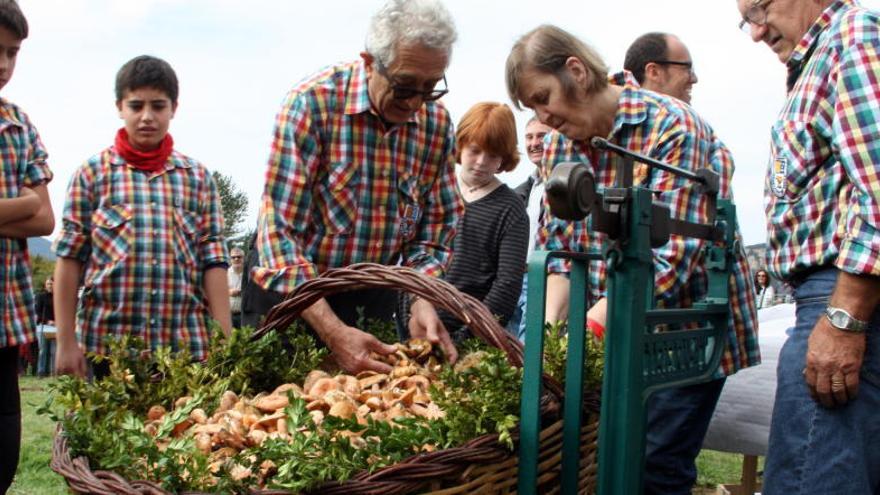 La campanya de bolets serà tardana i més escassa que la dels últims 20 anys