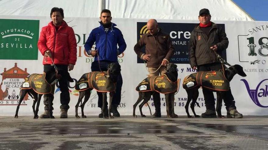 Los cuatro semifinalistas que corrieron el sábado en Osuna (Sevilla).