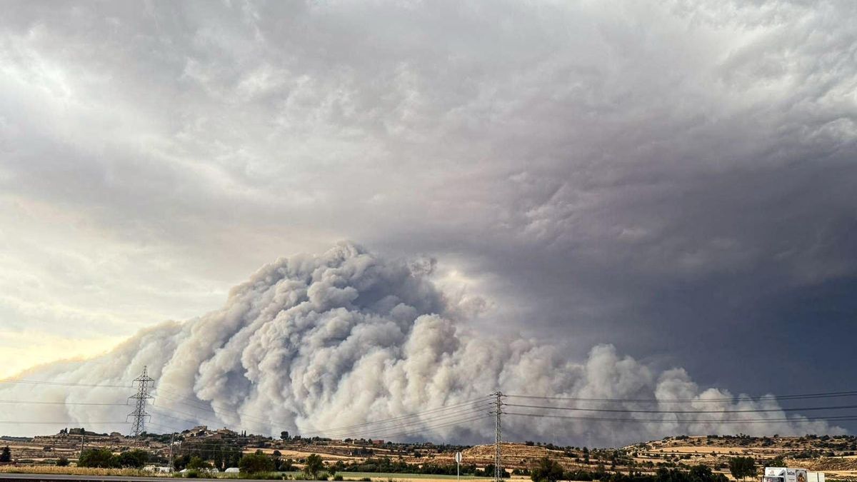 El incendio que ha afectado a esta zona de Lleida