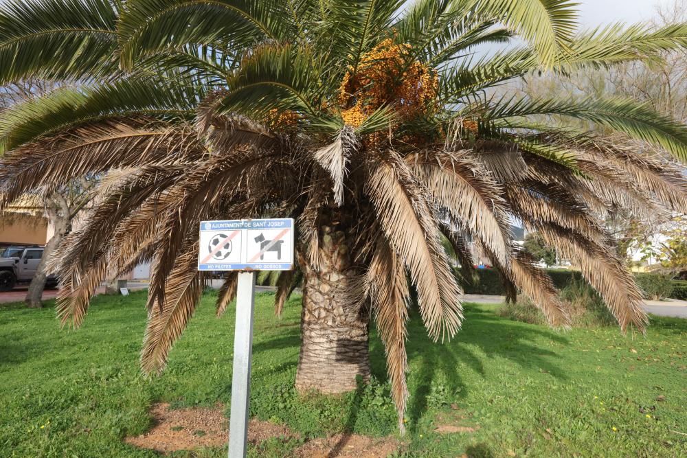 Vecinos del barrio de Sant Jordi denuncian  la situación de «abandono» que vive la zona