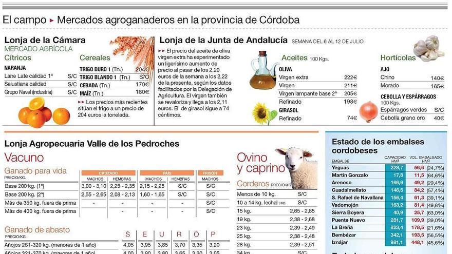 Continúan las labores de empacado de la paja