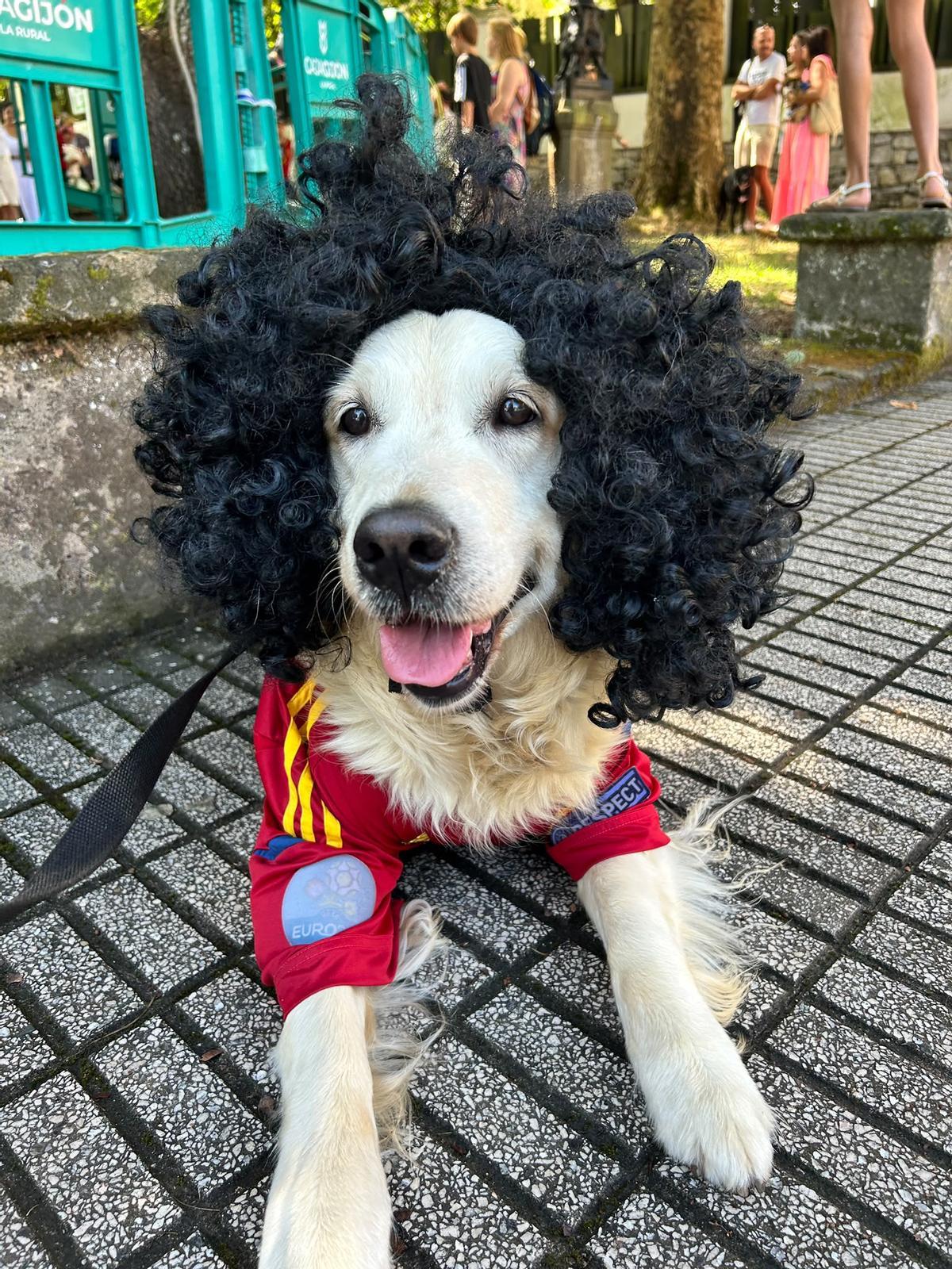 Cucurella, la perra que enamora a Somió