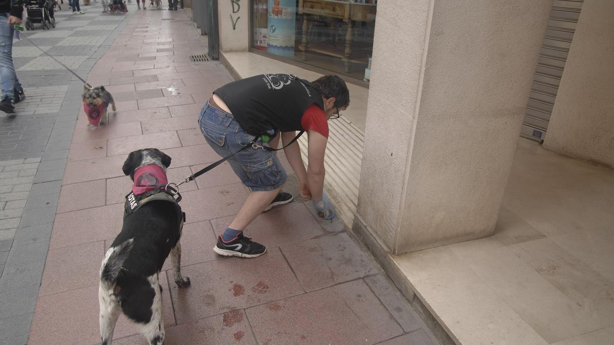 No recoger las deposiciones caninas como en la imagen les puede costar a los dueños hasta 750 euros de multa.