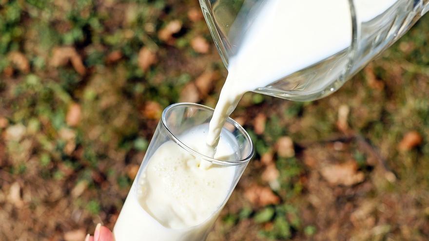 El mejor supermercado para comprar leche según la OCU