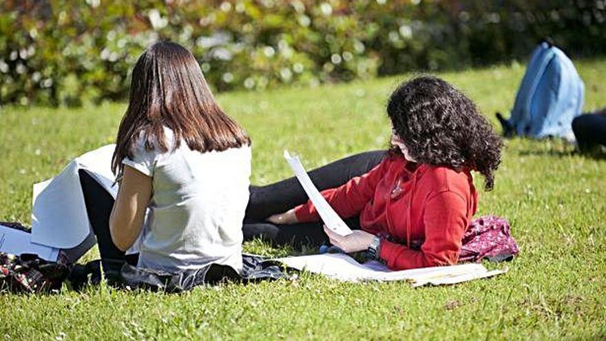 Estudiantes repasando en una de las áreas verdes del campus de Elviña.