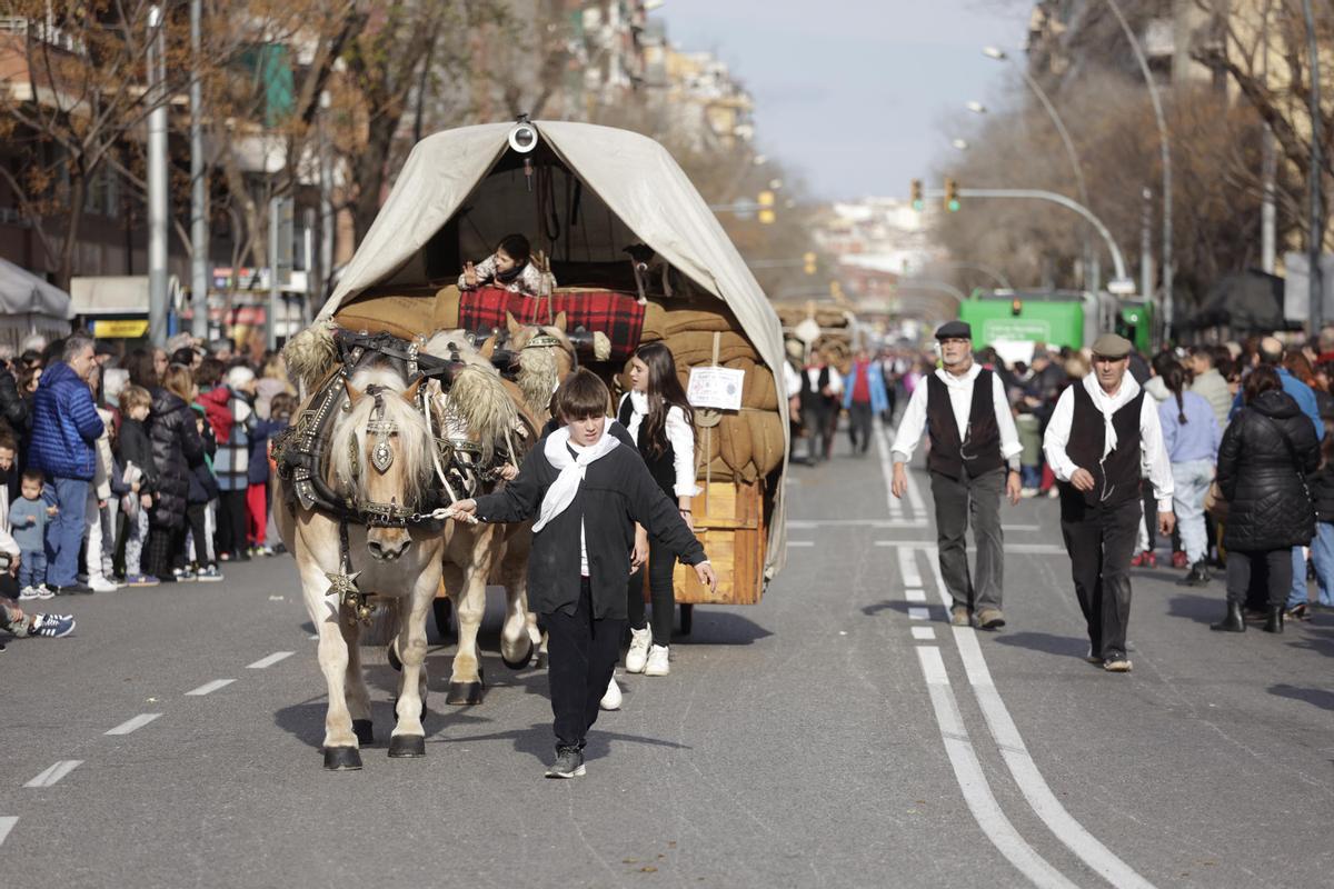 Els Tres Tombs de Sant Andreu de Palomar