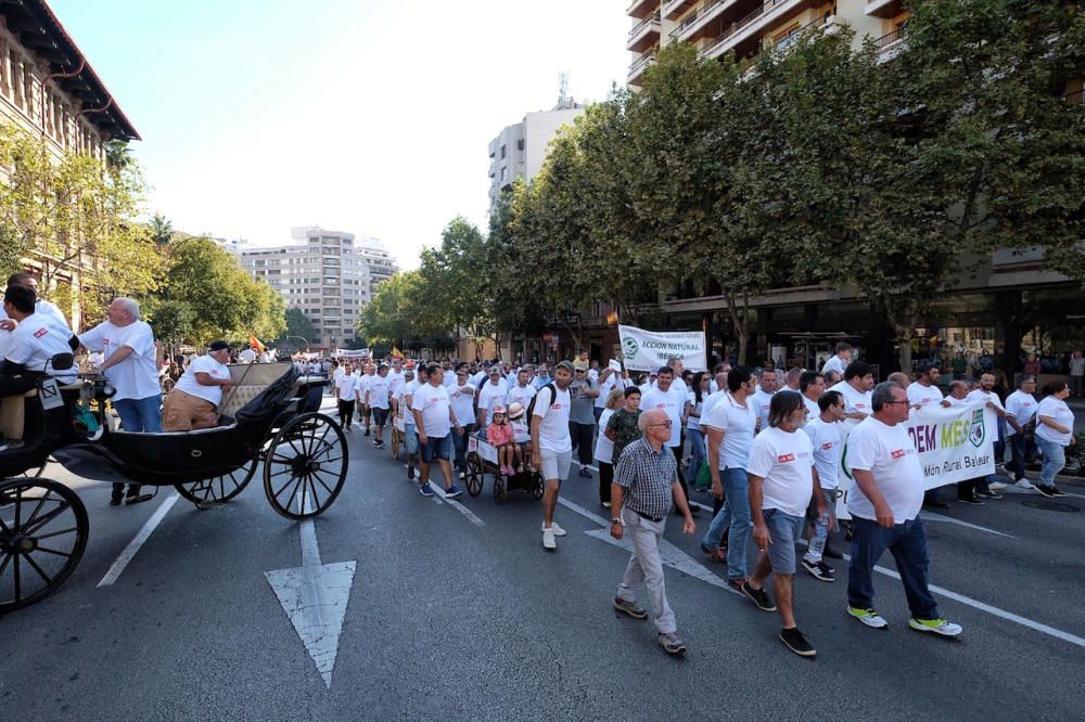 Miles de personas se manifiestan en Palma en defensa del mundo rural y la caza