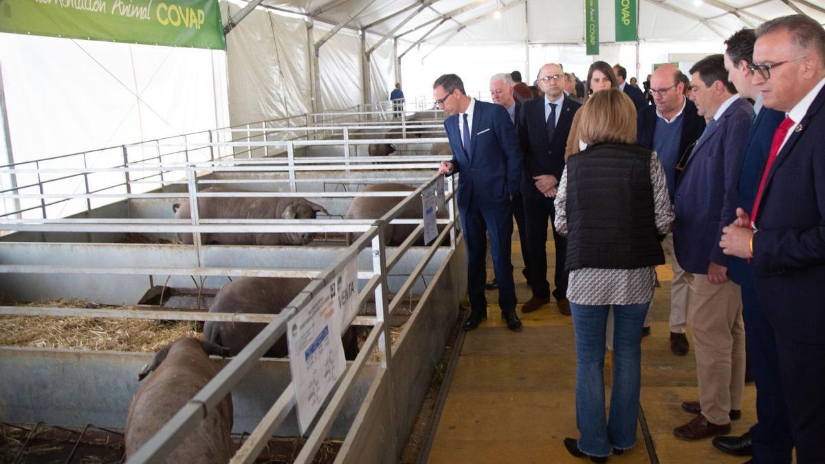 Imagen de la Feria Agroganadera de Los Pedroches, en Pozoblanco, del año pasado.