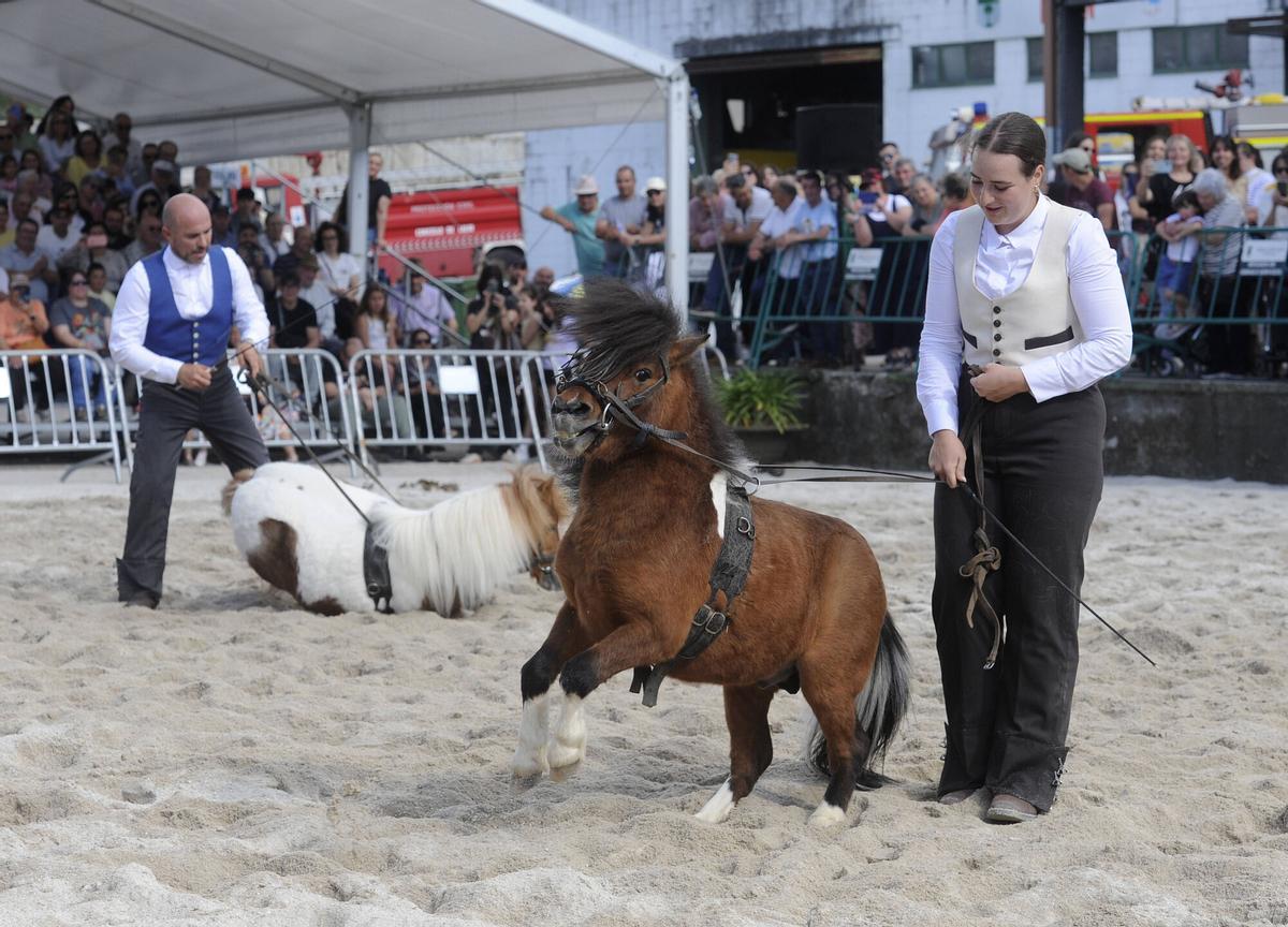 XXXVI Feira do Cabalo de Lalín, 2026