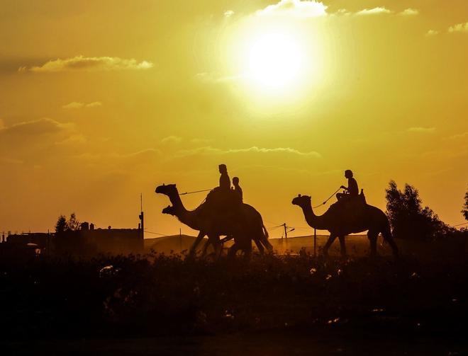 Los palestinos montan en camello después de una carrera de caballos local organizada por la Federación Ecuestre Palestina, celebrada en el destruido aeropuerto de Gaza en Rafah en el sur de la Franja de Gaza.
