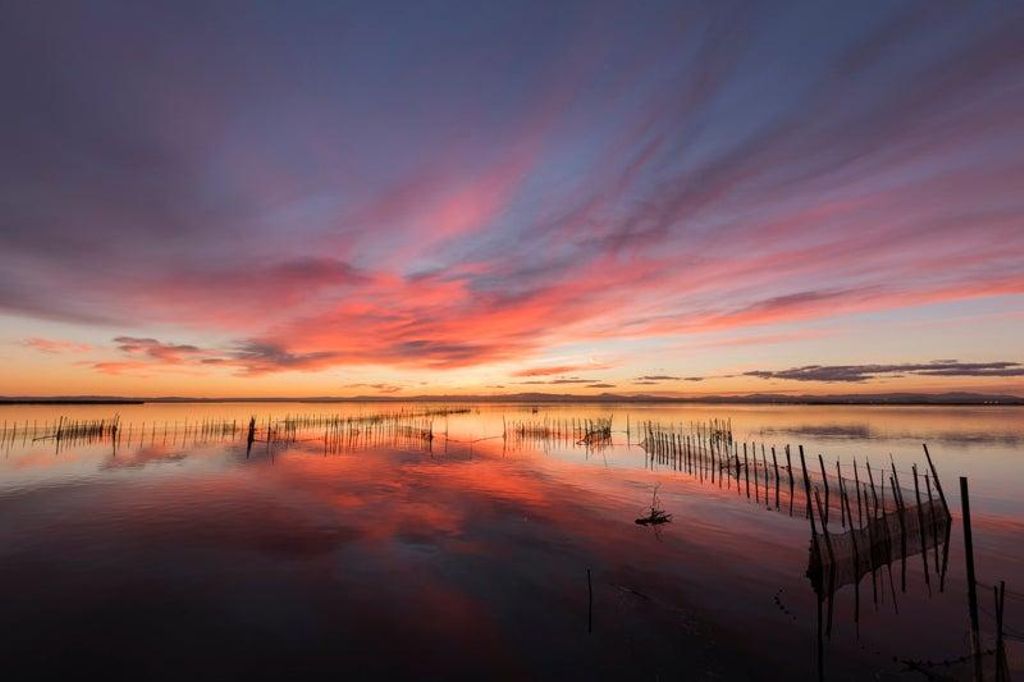 Albufera