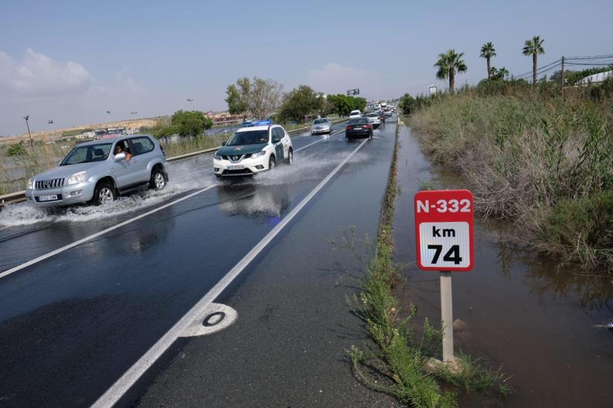 En directo: Los agricultores cifran en 550 millones las pérdidas en el campo de la provincia de Alicante