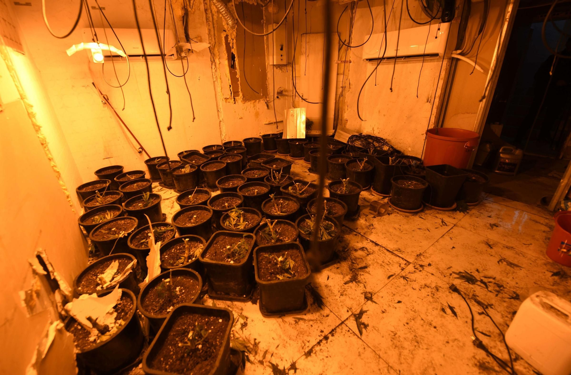 La redada contra el narcotráfico en el Polígono de La Paz, en imágenes