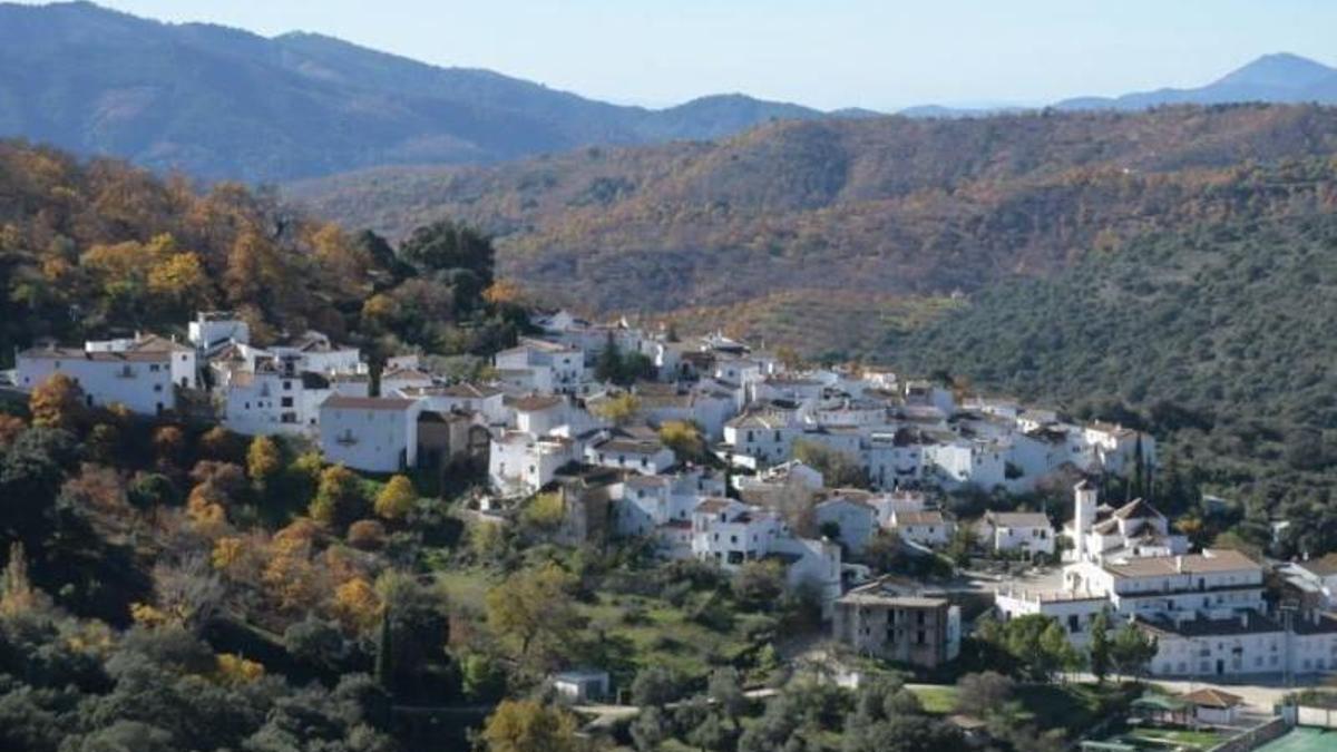 Vista del entorno del bosque de castaños que rodea la localidad serrana de Parauta, situada a corta distancia de Igualeja, Pujerra o Cartajima.