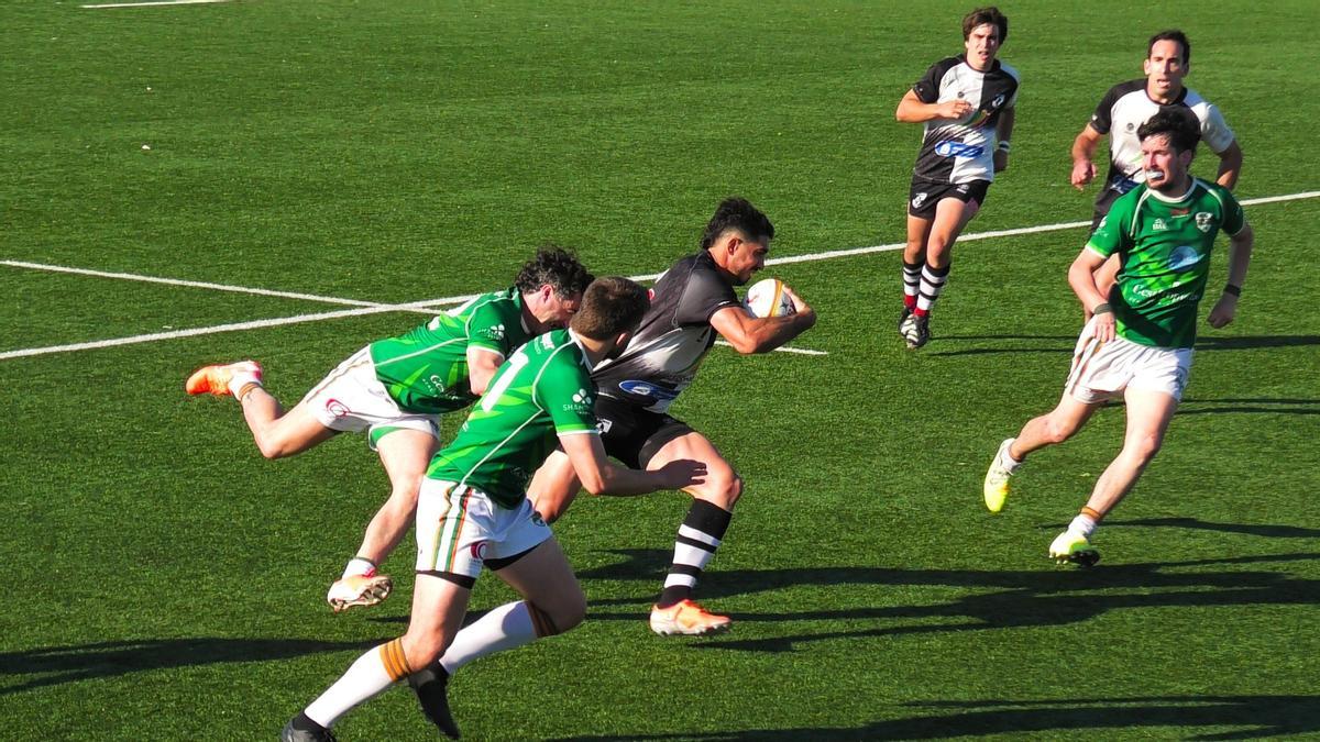 El Toro gana el derbi y deja muy tocado al Palma Rugby Unión (31-46)