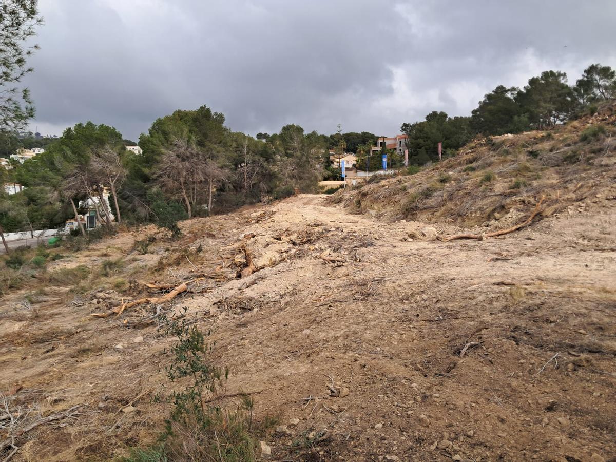 La drástica deforestación llevada a cabo en estos terrenos litorales