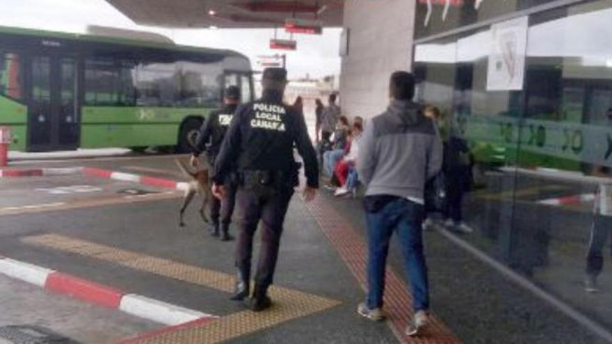 La USP de La Laguna arrestó a 16 personas desde finales de julio.