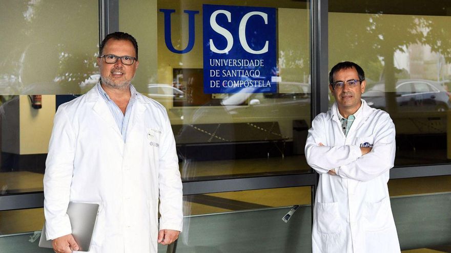 Los catedráticos de la USC Federico Martinón y Antonio Salas. | Cedida