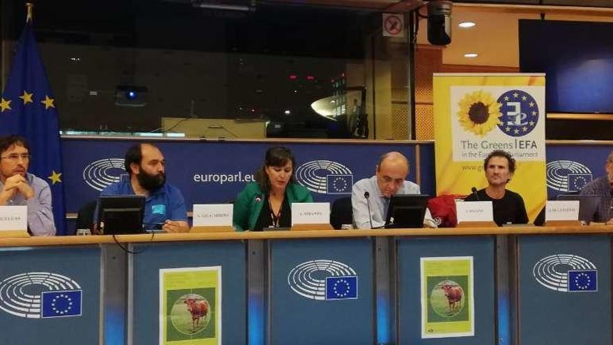 Martiño Nercellas (primero por la izquierda) durante la jornada en el parlamento europeo.