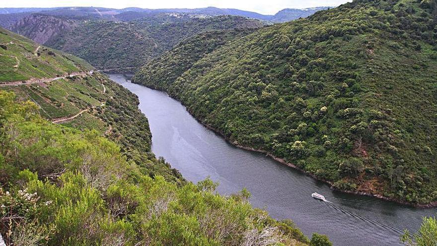 Una vista de la Ribeira Sacra en Ourense.