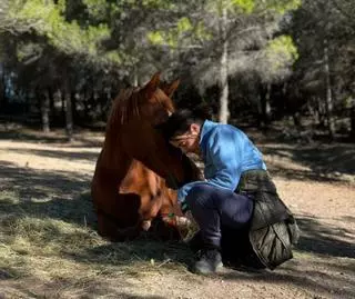 Àngels Gol: «Els animals ens fan de mirall a les persones»