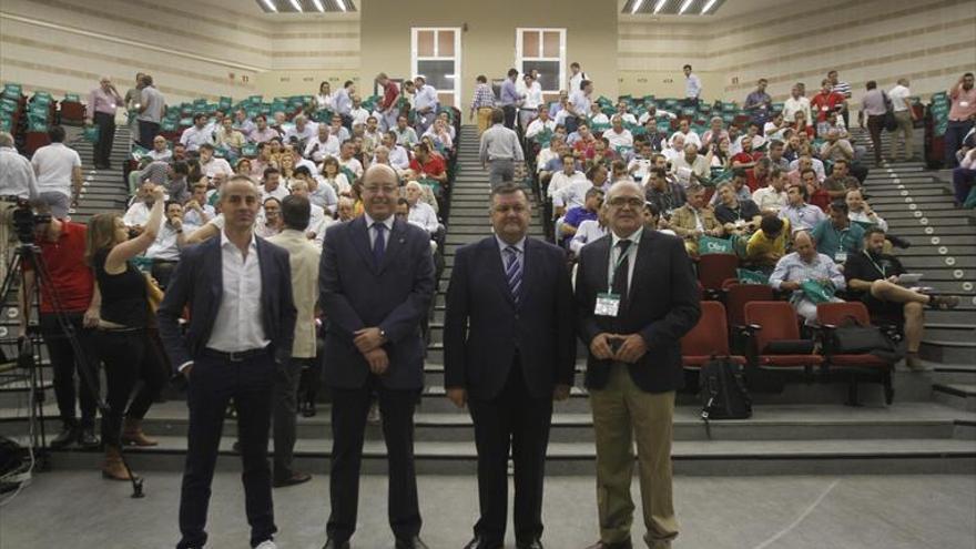 Córdoba acoge su primer simposio internacional sobre el olivar en seto