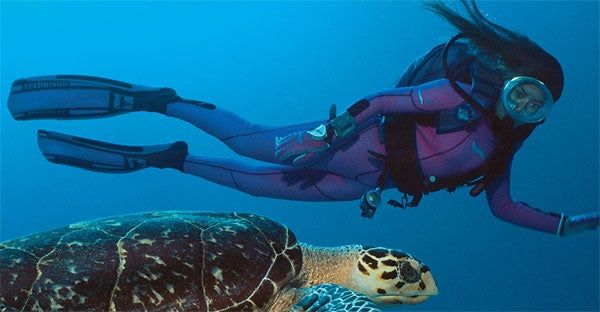 Una submarinista nada junto a una tortuga que busca una playa cubana tranquila para desovar.