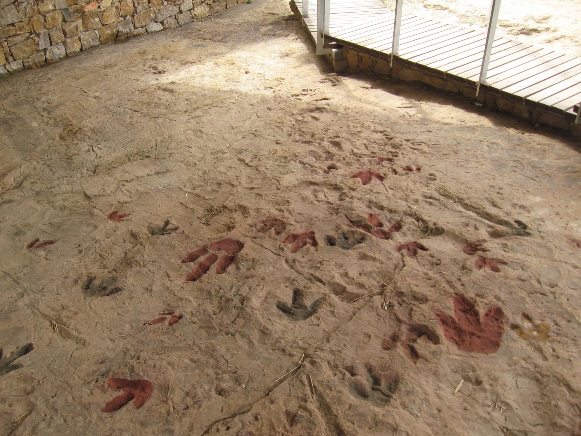 Más icnitas (huellas de dinosaurio) en el yacimiento de la Corcolilla.