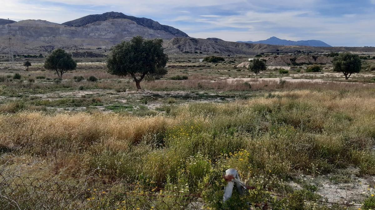 La zona donde pretende instalarse la planta de residuos.