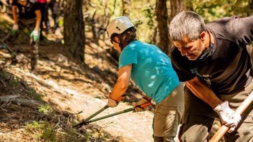 Més de 300 voluntaris han treballat per millorar els boscos del Ripollès