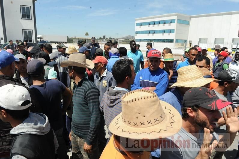 Protesta hortofrutícola en una empresa de El Raal