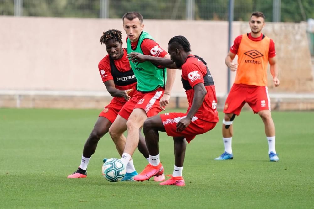 Entrenamiento del Malloca en Son Bibiloni