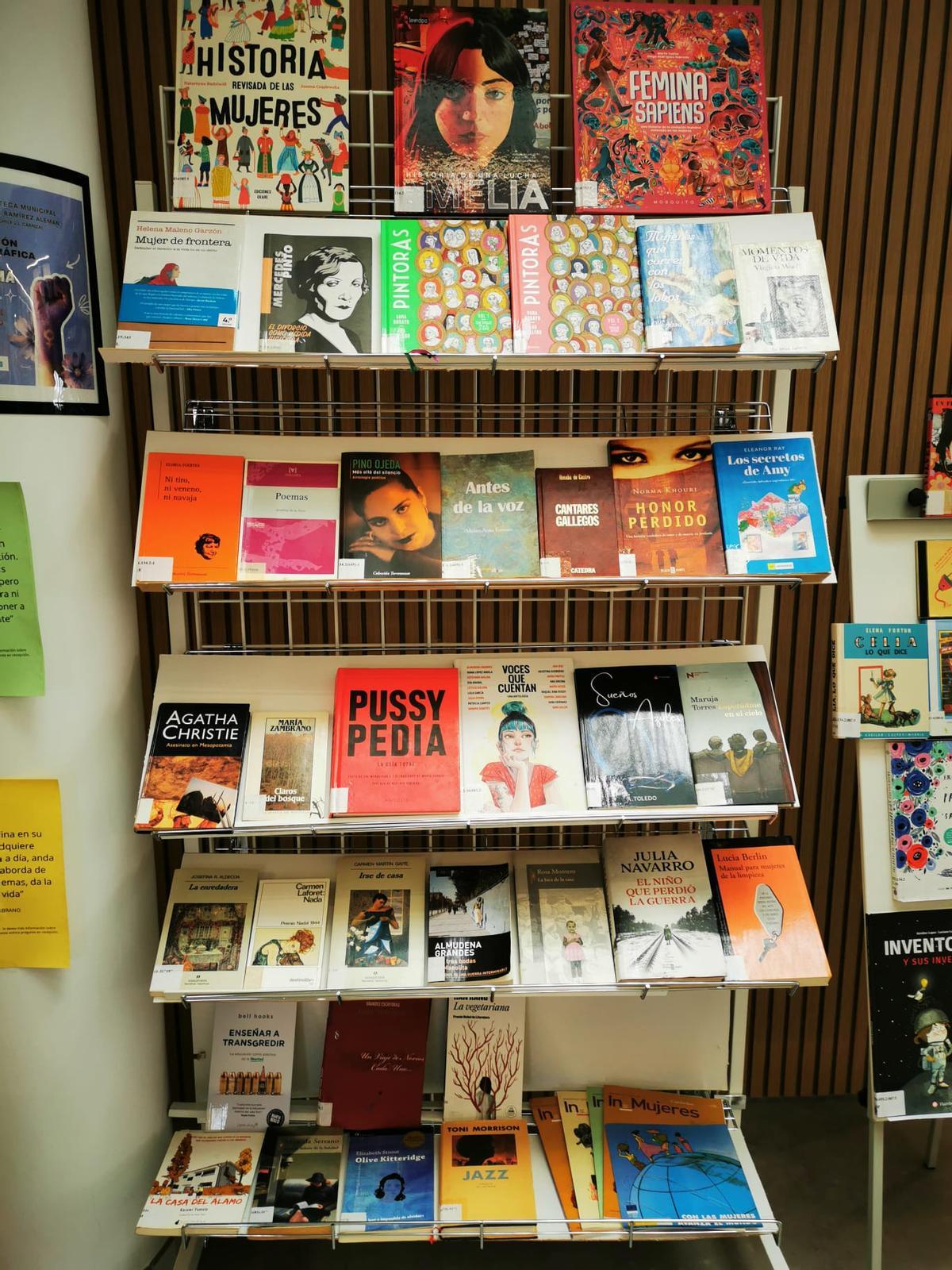 Detalle de uno de los expositores de la biblioteca pública municipal Agustín Ramírez Alemán de El Carrizal con libros de diferentes autoras.