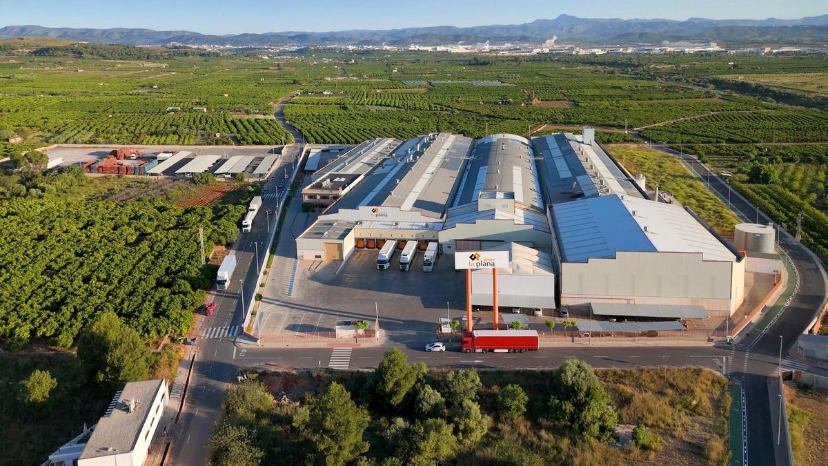 Planta del Grupo La Plana en Betxí.
