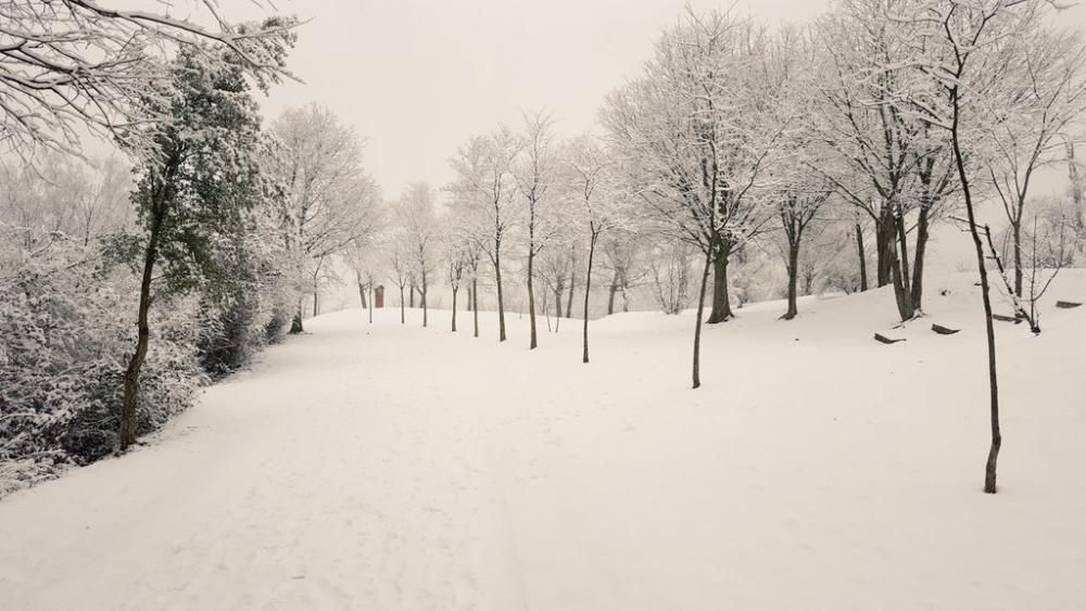 Neu a la Garrotxa