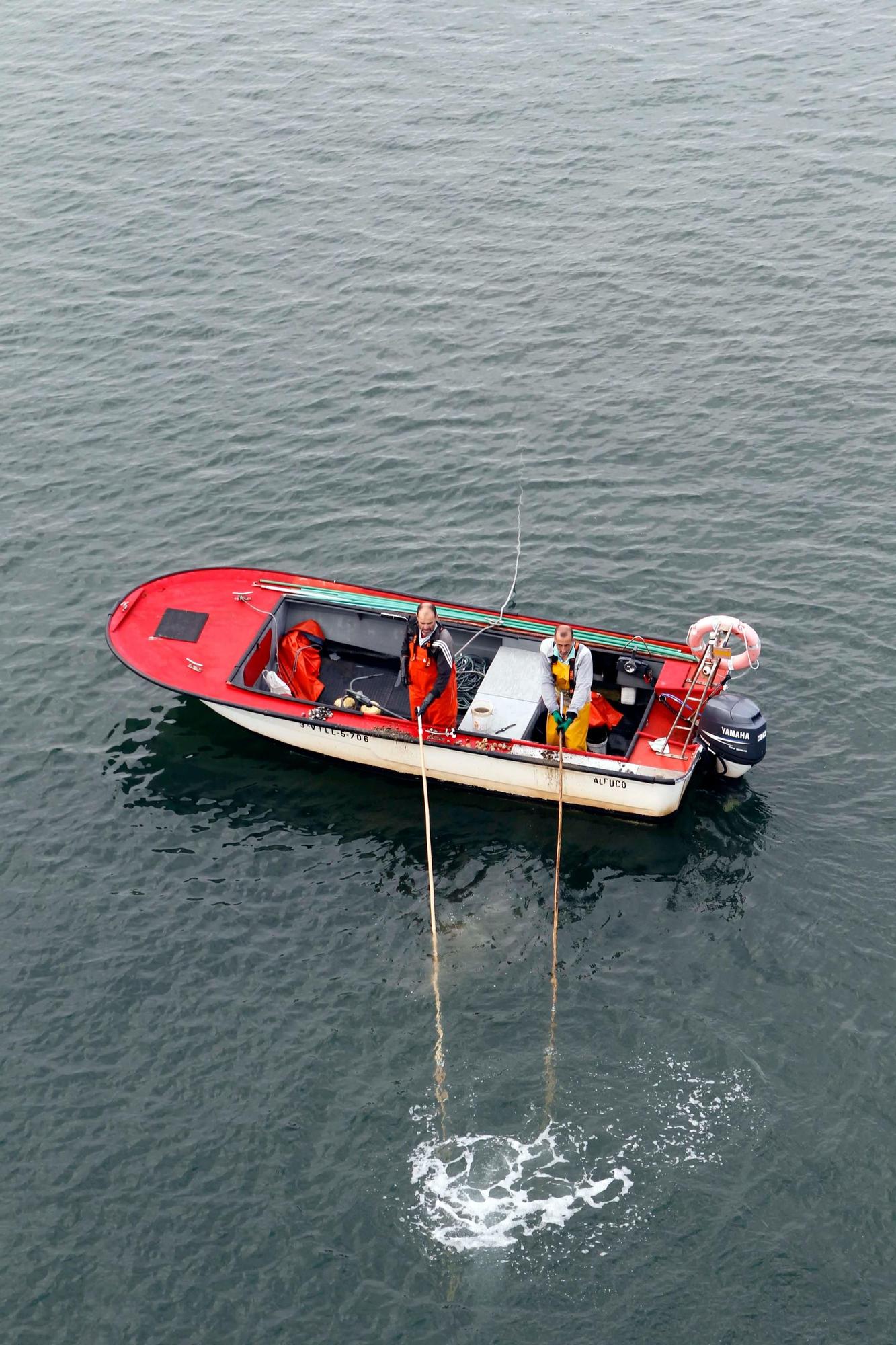 Así comenzó otra preocupante y desconsoladora campaña para el libre marisqueo en Arousa.